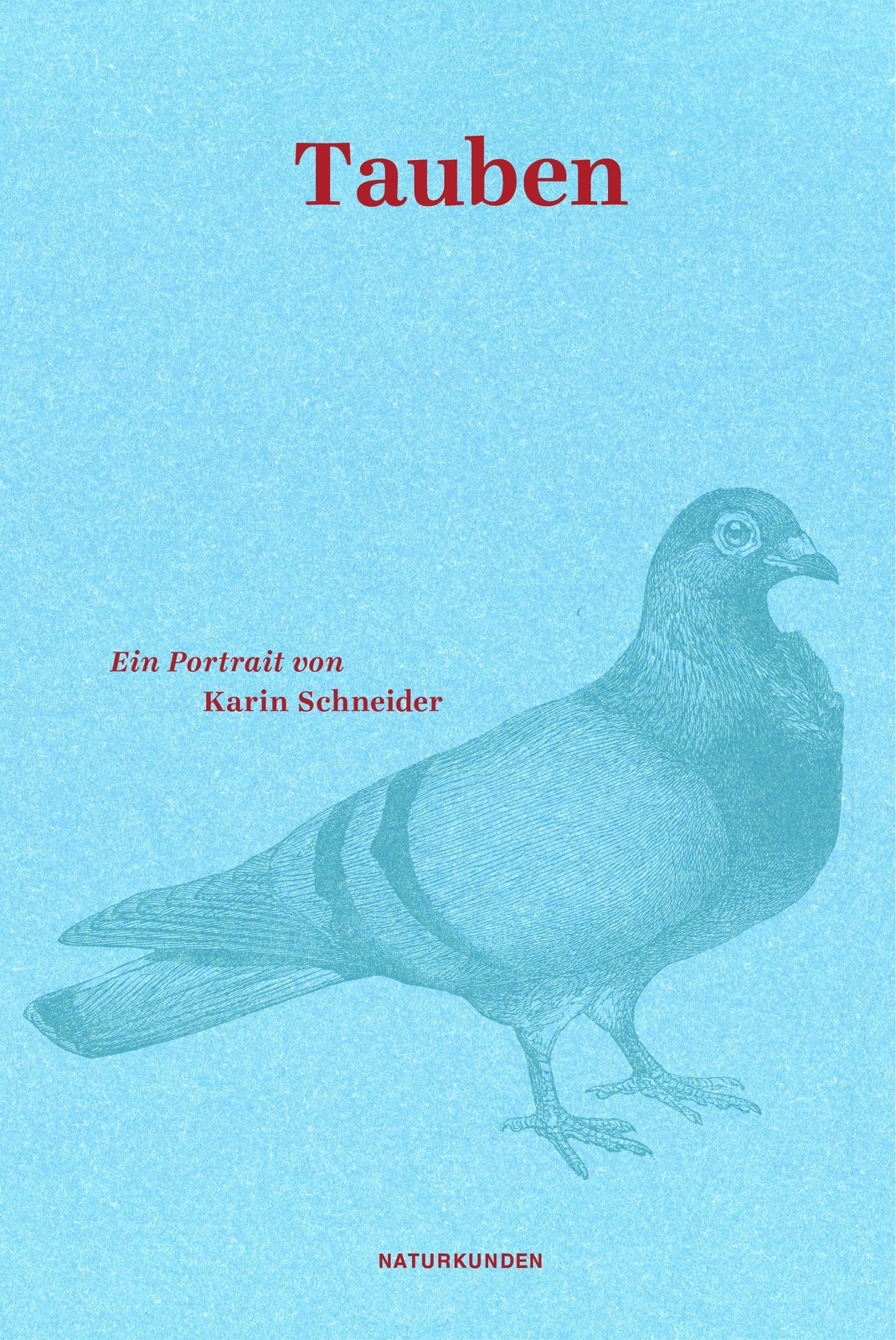 Thumbnail - Tauben, Karin Schneider