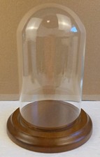 7  x4  Glass Dome Bell Jar/Cloche Specimen Display Case Wood Base Clear EUC 