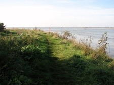 Photo 6x4 The Angles Way on the south side of Breydon Water Great Yarmout c2018
