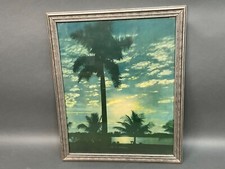 Vintage Framed Litho Print  Original Florida Hawaii Tropical Palm Tree  Lg Photo