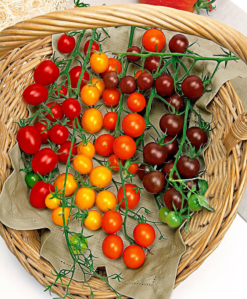 Seeds Tomato Cherry Mix Cocktail Yellow Pink Red Rare Organic