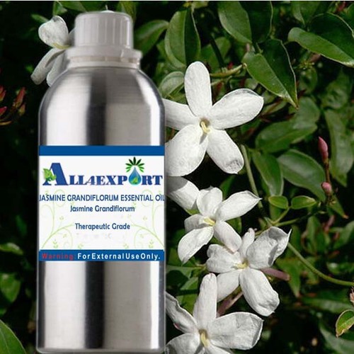 PURE JASMINE GRANDIFLORUM OIL Jasmine Grandiflorum NATURAL HERBAL AROMA - Picture 3 of 30