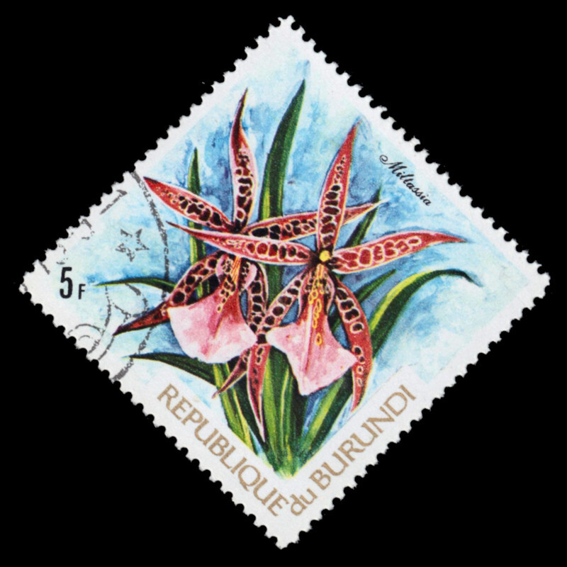 BURUNDI 416 - Orchids 