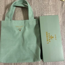2025 Prada Beauty Mini Canvas Tote Lunch Bag Green – Novelty Edition – With Box