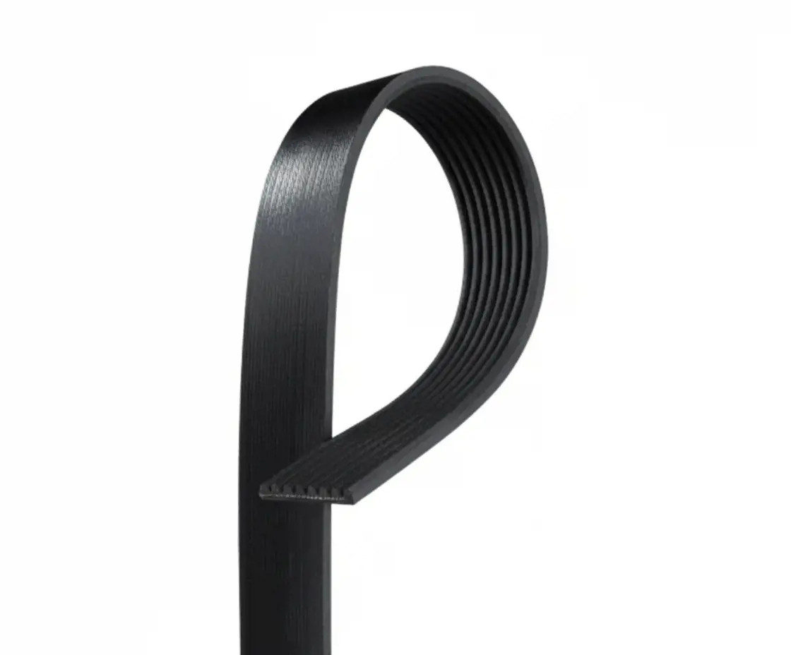 Nero Cinghia Poly-V Gates 8Pk1162est - Immagine 2
