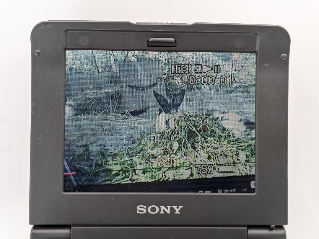 Sony GV-A700 Hi8 Video Walkman Video8 Player Recorder Tested w