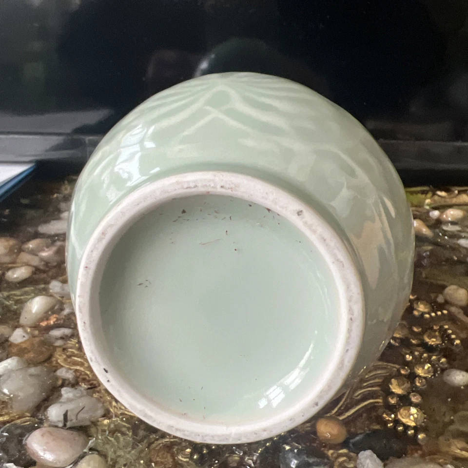 Celedon小号花瓶软木上衣 — 第 4/4 张图片