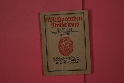 335366 Hans Hoppeler WIE HANNCHEN MUTTER WARD Orell Füssli Verlag Des Büchleins