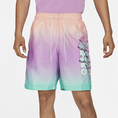 Nike Air Jordan DNA HBR Poolside Shorts 