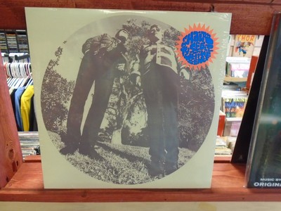 Ty Segall And White Fence Hair Lp New Vinyl Thee Oh Sees