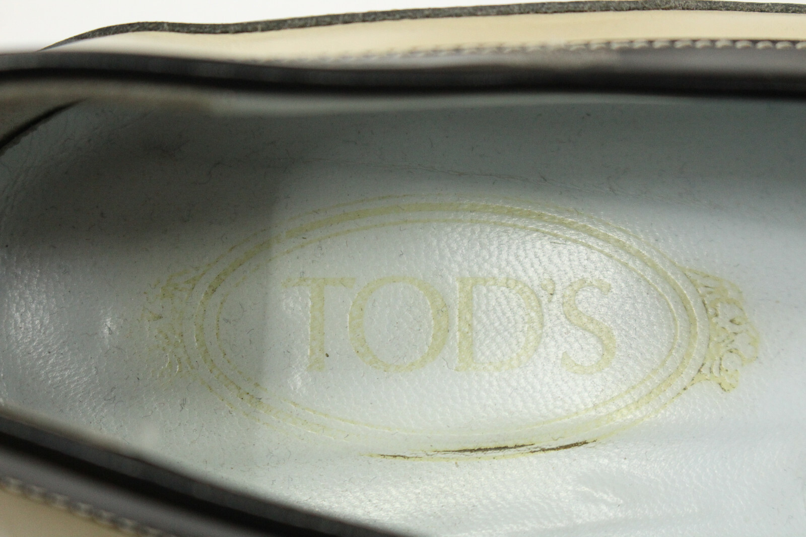 tod's femme