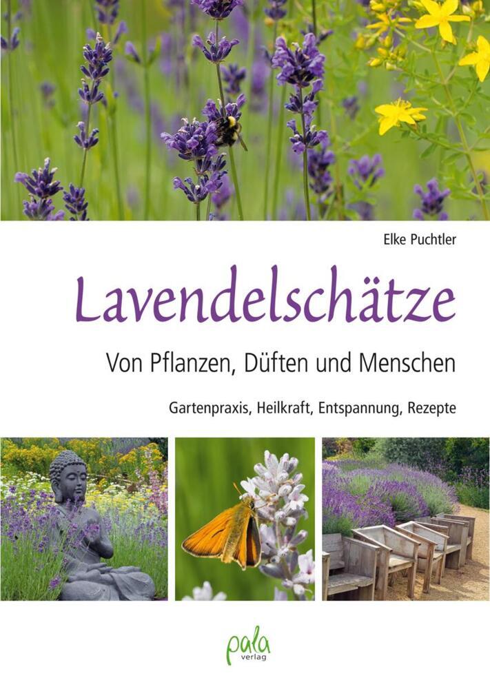 Thumbnail - Lavendelschätze - Elke Puchtler - 9783895663772 Portofrei
