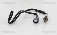 Triscan Lambdasonde Sensor Abgassteuerung 8845 40080 FüR Honda Civic 7 Hatchback