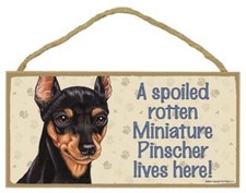 Miniature Pinscher - A spoiled "your favoriate dog breed" lives here - Door Sig