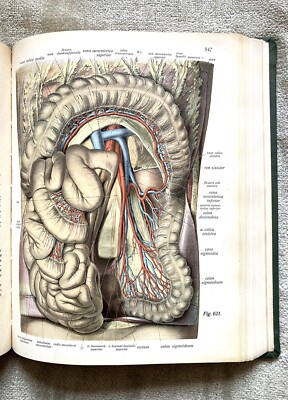 Atlas Of  Human Anatomy, Antique, 3 Volumes, Complete Set, 1928, Fair Condition