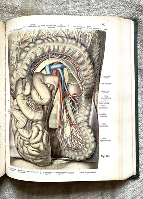 #ad Atlas Of Human Anatomy Antique 3 Volumes Complete Set 1928 Fair Condition $145.00