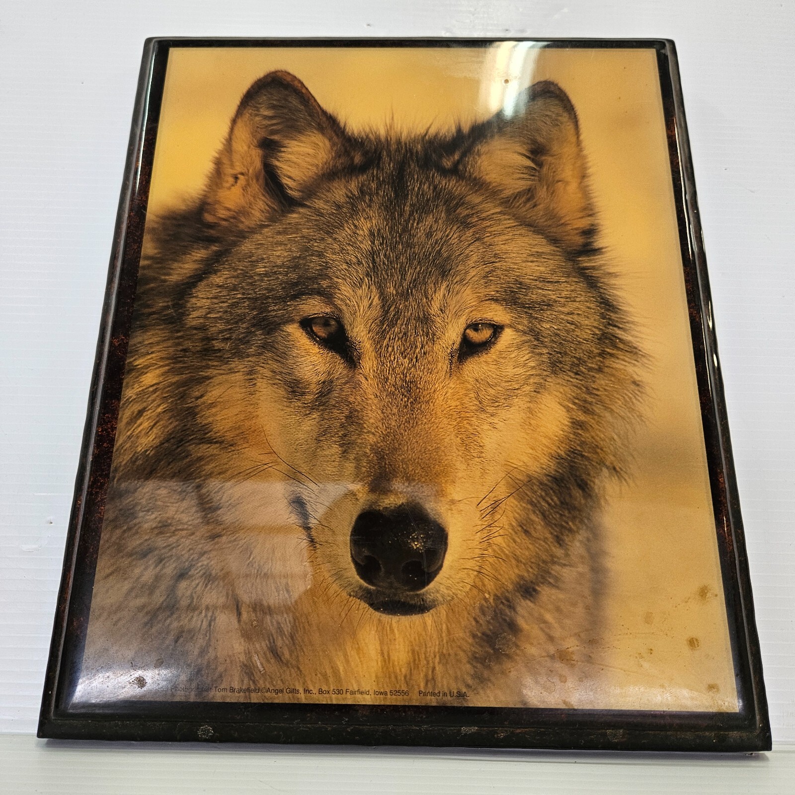 Picture 1 of 11