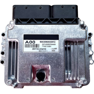 39110-03410 Electronic Control Unit ECU ECM For Hyundai MEG17.9.12.1