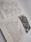 Brer Rabbit's New Orleans Molasses Recipes Booklet 1948 Vintage — photo 8