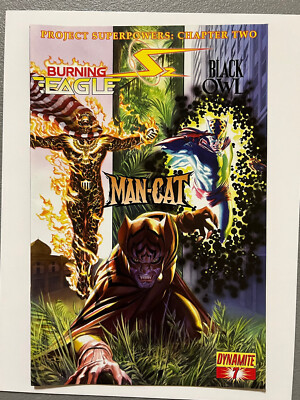 Project Superpowers Chapter Two . # 7. Dynamite Comics Eagle Man-Cat Black Owl |