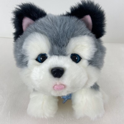 little live pets frosty