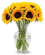 10 Stem Yellow Sunflower Bouquet Fresh Cut Flower Arrangement Home Decor Gift