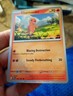 Charizard Charmander Charmeleon Pokemon Card! Holo/Reverse Holo Rare EX Cards!