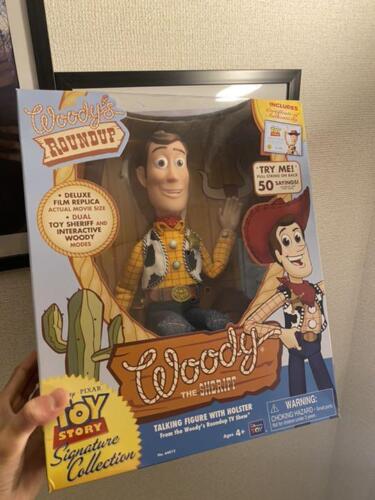 Rare Japan Edition Toy Story Collection Woody - Authentic Collector's Item! - Picture 1 of 7