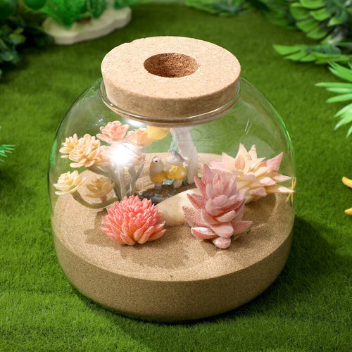 Terrarium for Plants Eco Bottle Ornaments Planter Jar with Cork Lid Sealed - Picture 11 of 11