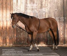 Norton Longierhilfe Schlauch Ausbinder vorw&auml;rts-abw&auml;rts Longieren Pony Cob Full