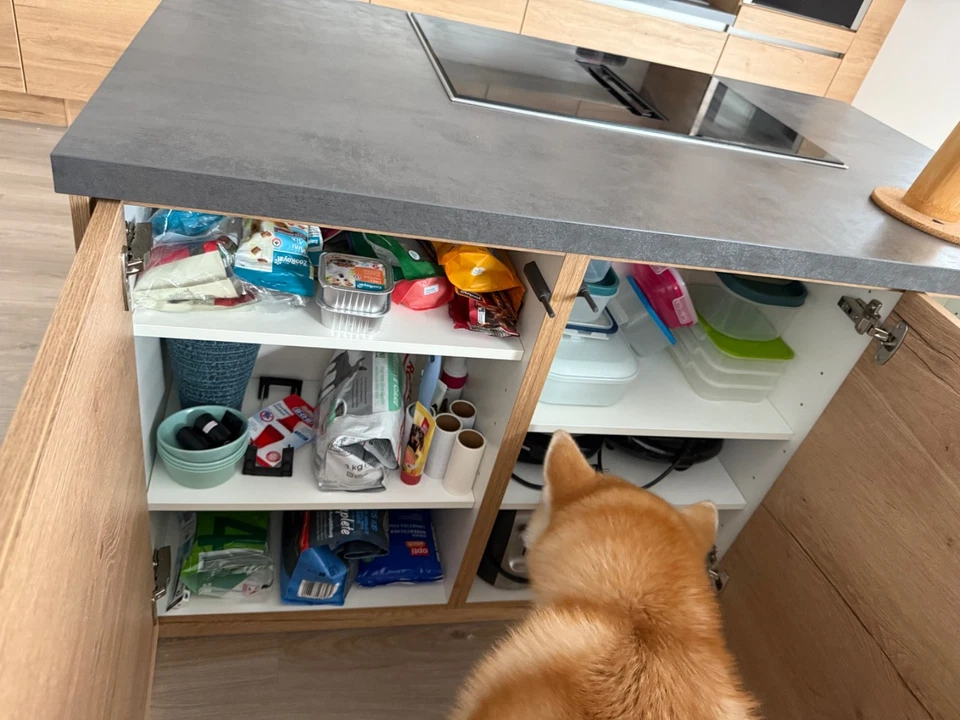 Küche mit Kochinsel zu verkaufen NEFF Nobilia mit Dunstesse und Hochbaubackofen - Bild 3 von 4