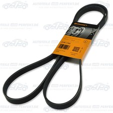 CONTITECH  -  Keilrippenriemen Mercedes Benz / B-Klasse