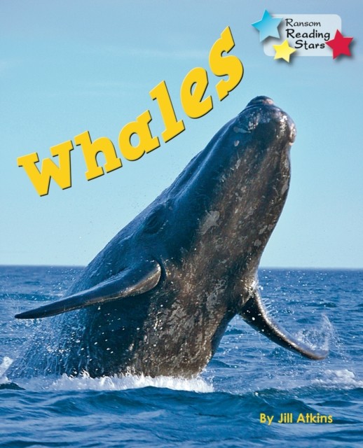Whales by Atkins Jill (Paperback Book)