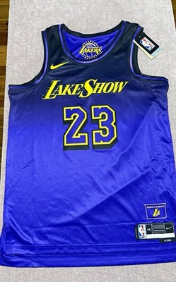Nike Los Angeles Lakers LeBron James 23 NBA City Edition Trikot lila M