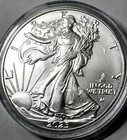 2025 American Eagle Silver Dollar With Eagle Privy 1 oz 999 Silver - In Capsule
