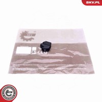 Esen SKV Schalter Fensterheber 37SKV368 FüR Renault Clio 2 Kangoo KC0 FC0 CB0C