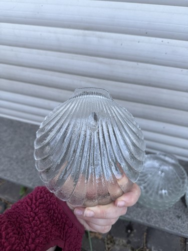 12 Glasschalen Dessertschalen Glas Eisschalen Muschel Jakobsmuschel - Bild 3 von 5