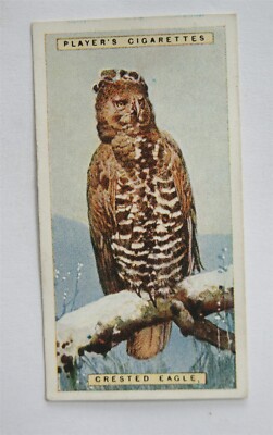 1924 Spieler Naturkunde Karte Nr. 14 Schopfadler