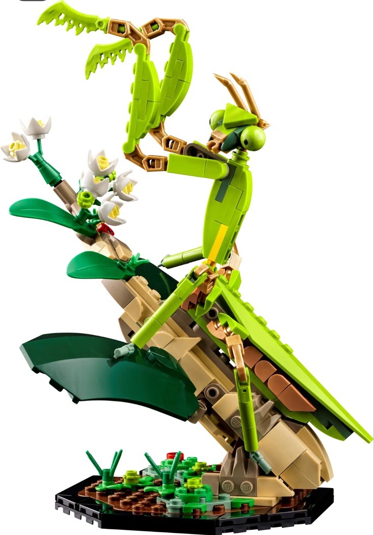 LEGO IDEAS Chinese Mantis Set 21342 New ONLY 280 Pieces | eBay