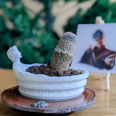 Astarion from Baldur's Gate 3 Relaxing in Bathtub, Planter, Jewelry / Soap Tray