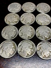 1929 D Buffalo Nickels