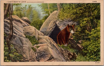 I Can't 'Bear' to Leave Bushkill Falls PA. Bear Cub Vintage Postcard spc7