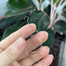 Surface Tensiometer Platinum Ring Loop Pt Loop Ring Pt Wire Radius 0.185mm