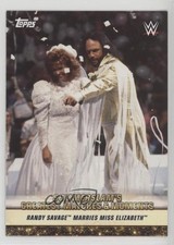 2019 WWE Summerslam Greatest Matches & Moments Randy Savage Miss Elizabeth 3gq