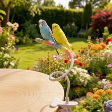 Wear Resistant Desktop Bird Perch Stand Tabletop Placement