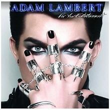 For Your Entertainment von Lambert,Adam | CD | Zustand gut