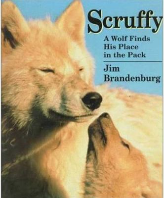 Scruffy: A Wolf Finds His Place in the Pack, USED-Good, Brandenburg, Jim