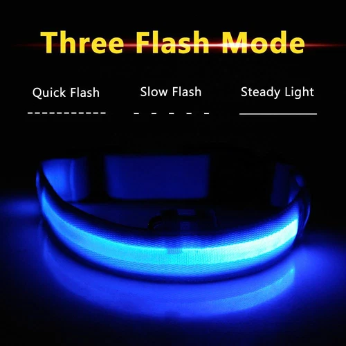 Collar LED de carga USB para perro antipérdida accidentes automovilísticos cachorros suministros de plomo - Imagen 4 de 11