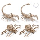 2 Pcs Spider with 2 Pcs Scorpion Skeleton Halloween Indoor Outdoor Décor — photo 1