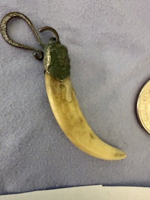 Vintage tusk or tooth with cap to wear, 1.5 inches